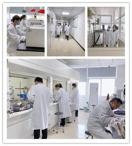 CAS:636-09-9 | Diethyl Terephthalate