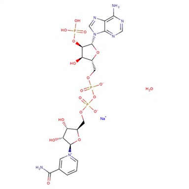 CAS:1184-16-3|B-Nikotinamid Adenin Dinükleotit Fosfat Sodyum Tuzu