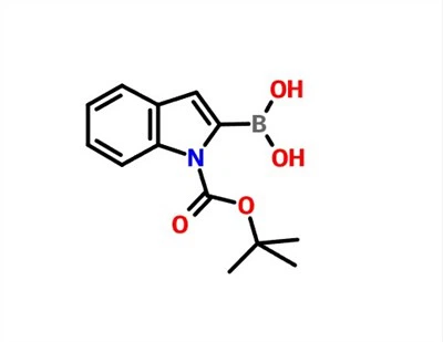 CAS 213318-44-6 N-Boc-indol-2-boronik Asit