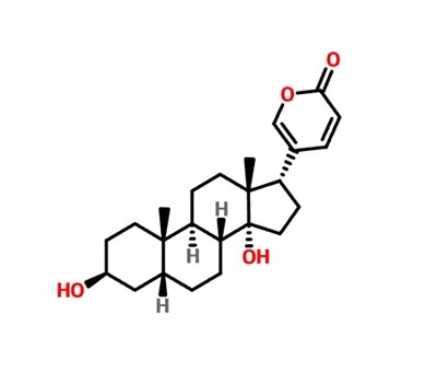 CAS 465-21-4 Bufalin