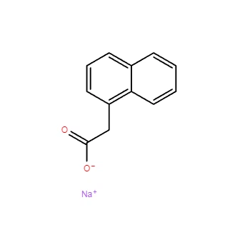 CAS 61-31-4|Sodyum Naftalin-1-asetat