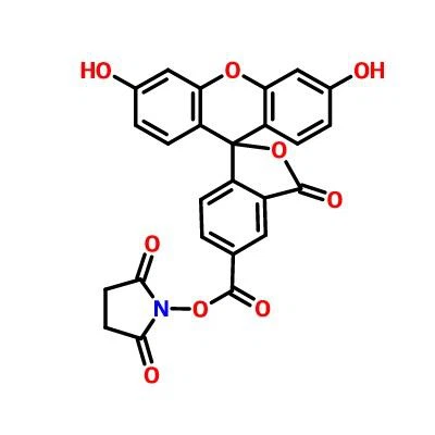 CAS:92557-80-7|5-FAM N-süksinimidil Ester