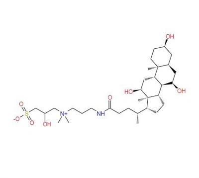 CAS:82473-24-3丨3-[(3-Kolamidopropil)dimetilamonyak]-2-hidroksi-1-propansülfonat